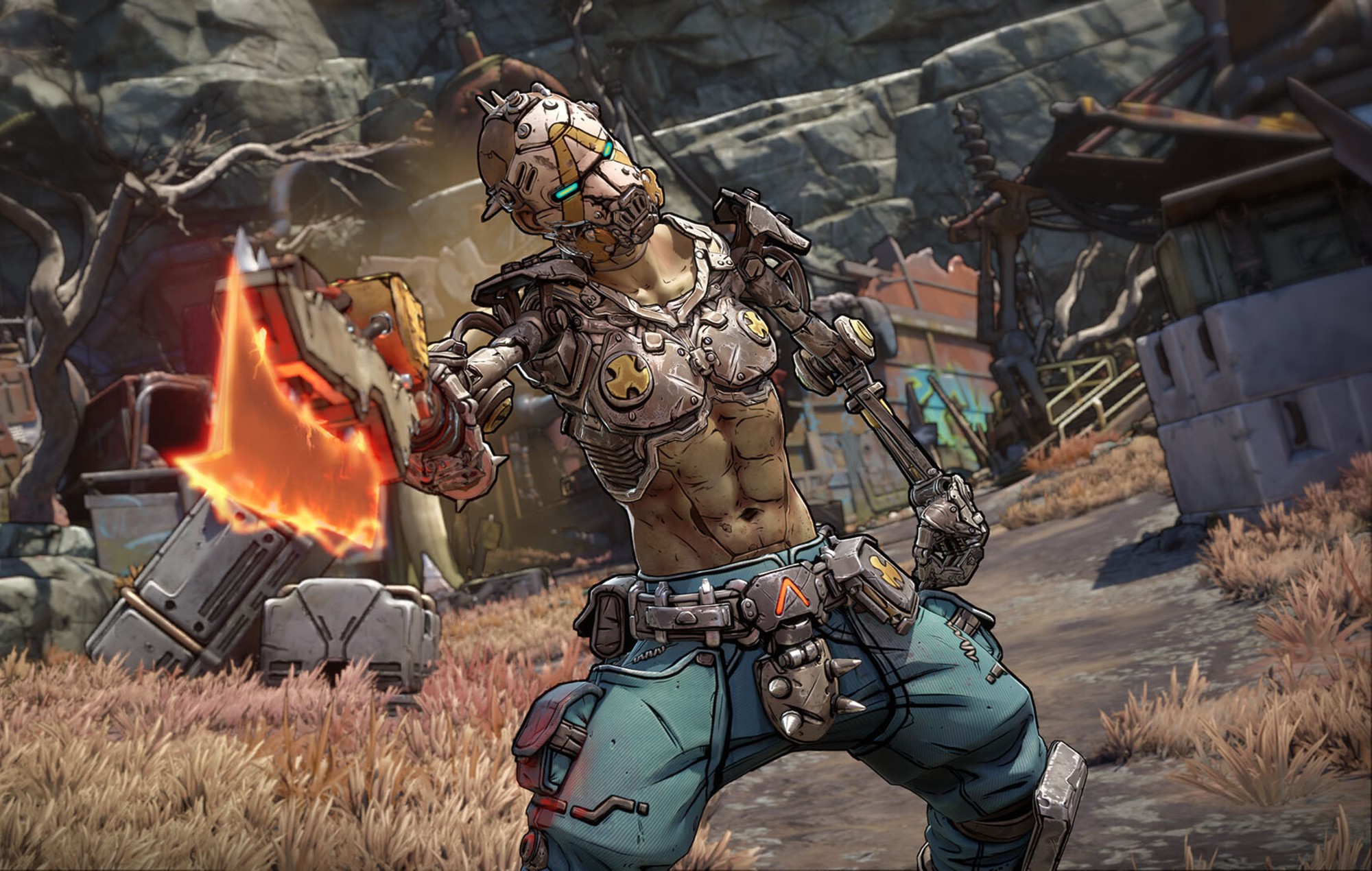 'Borderlands 4'.