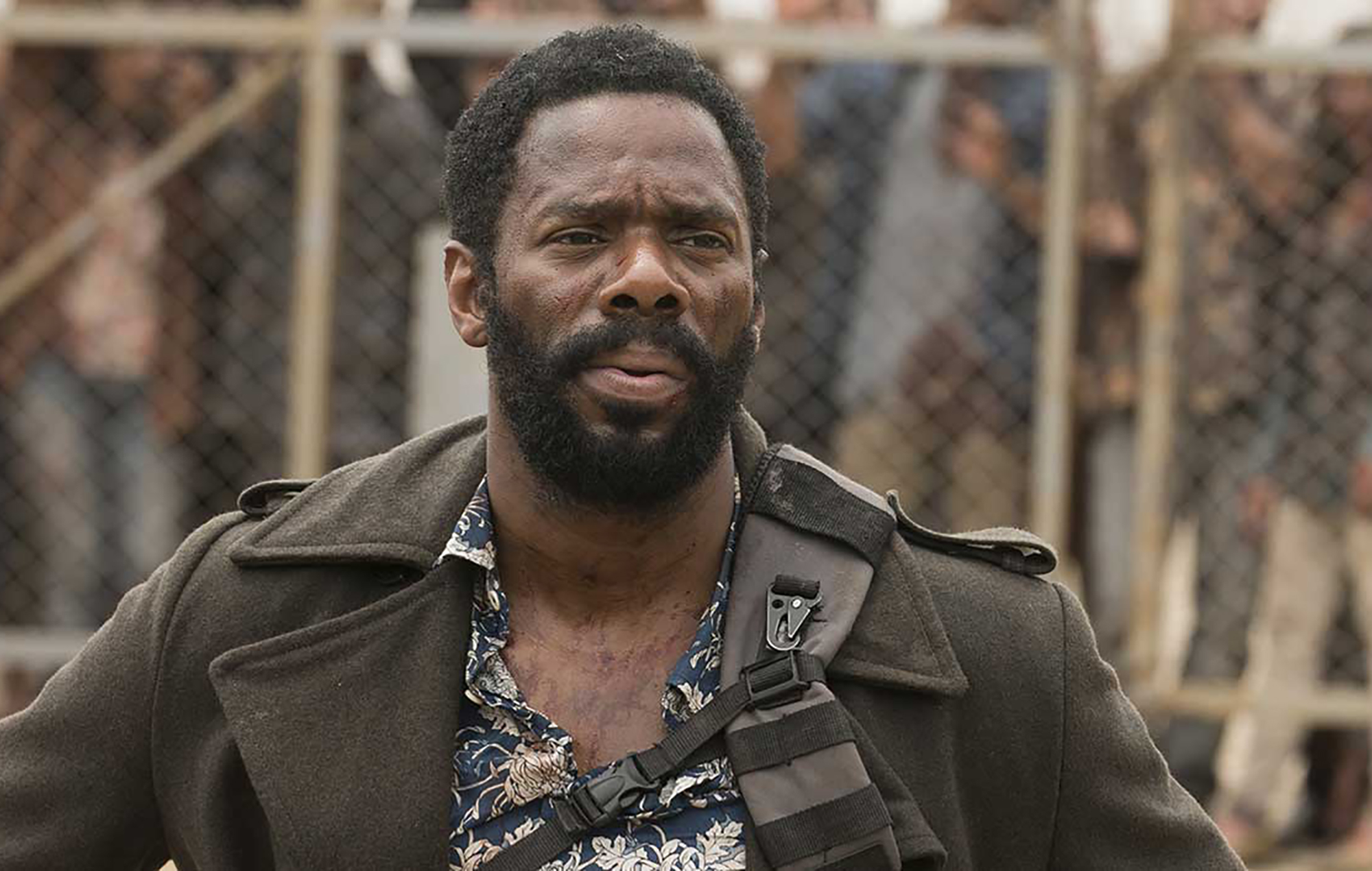Colman Domingo