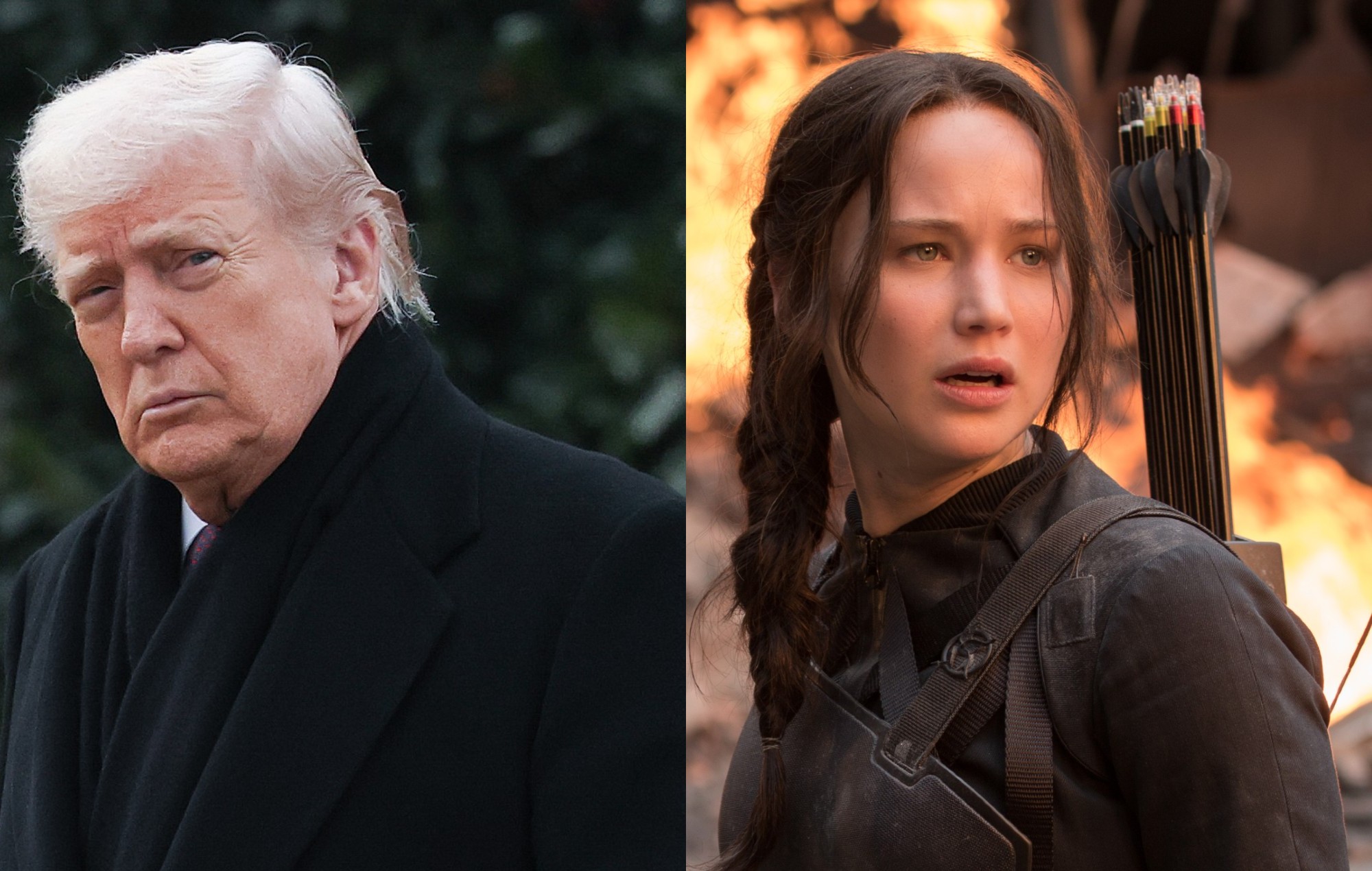 Donald Trump The Hunger Games
