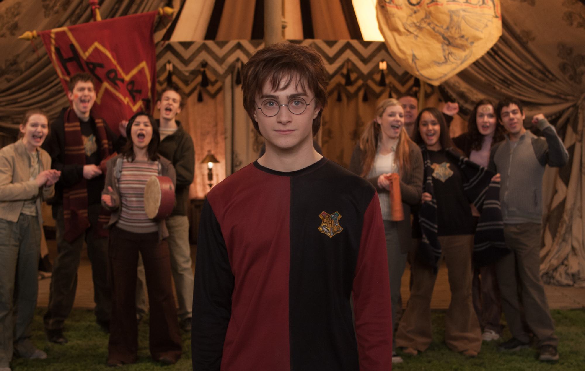Daniel Radcliffe as Harry Potter