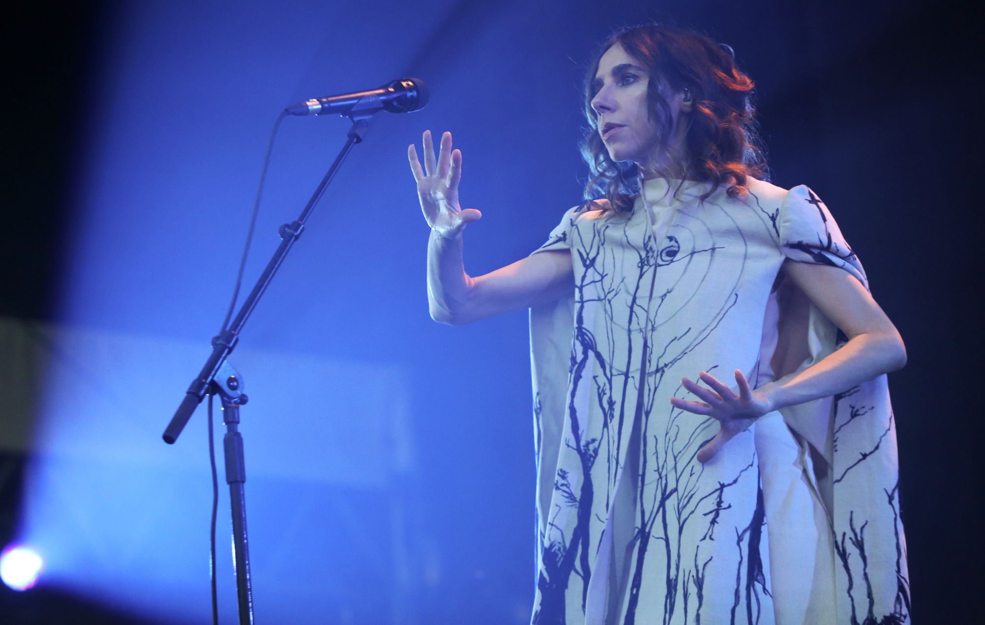 PJ Harvey performs in 2024