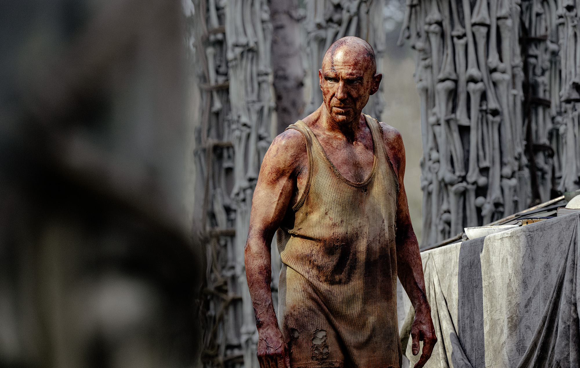 Ralph Fiennes in '28 Years Later'