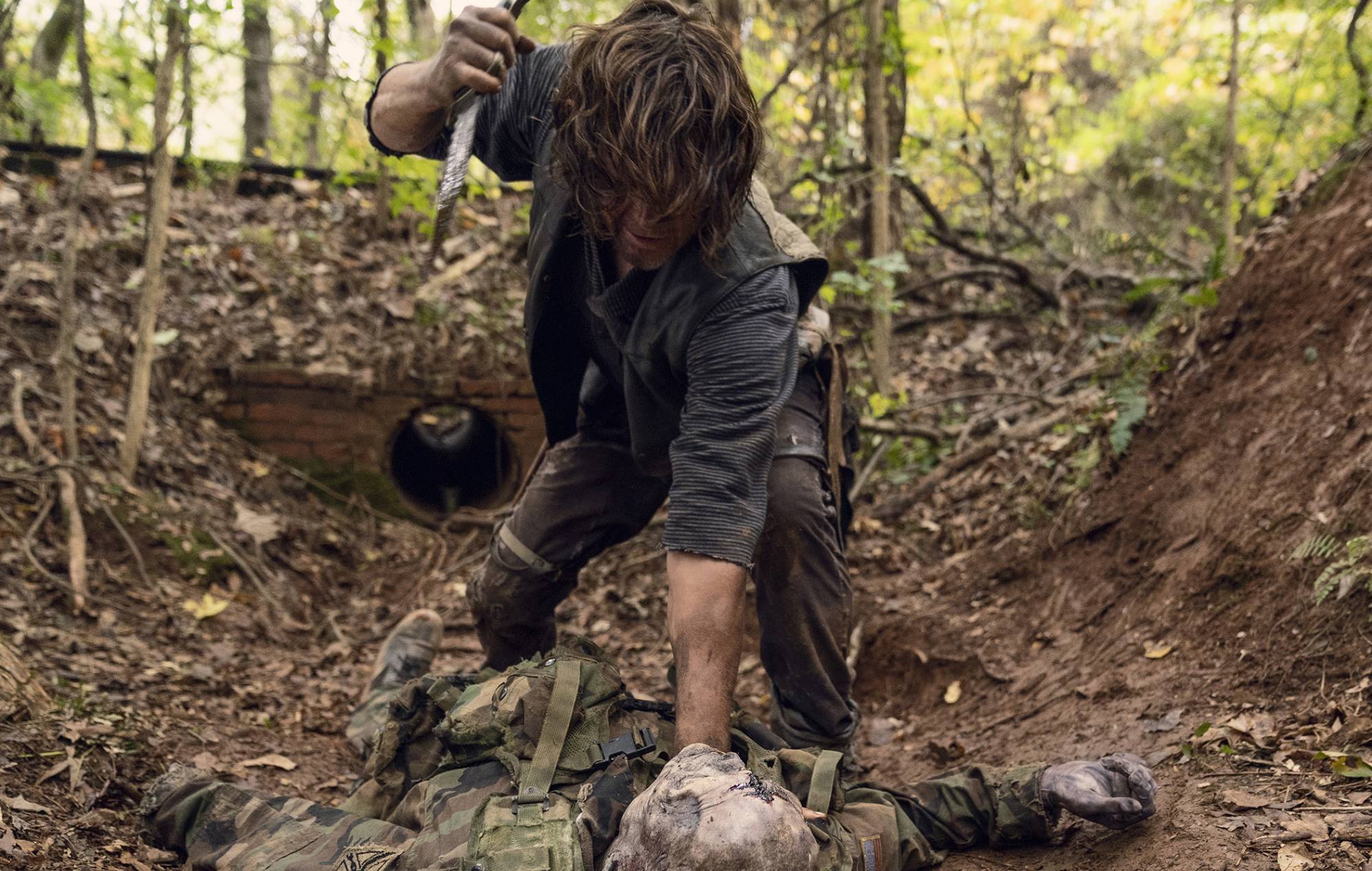 the walking dead daryl