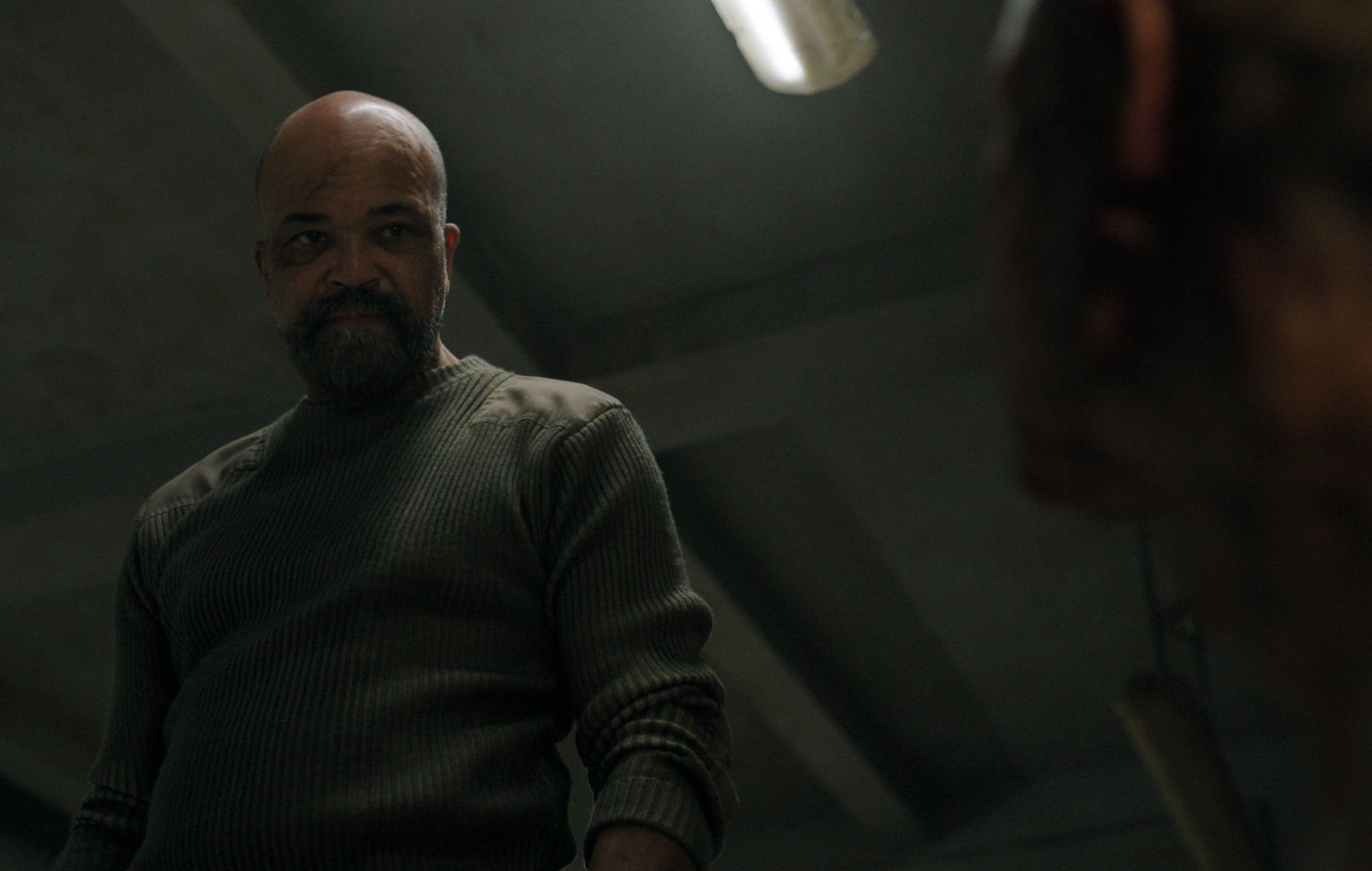 Jeffrey Wright as Isaac Dixon in 'The Last Of Us'.