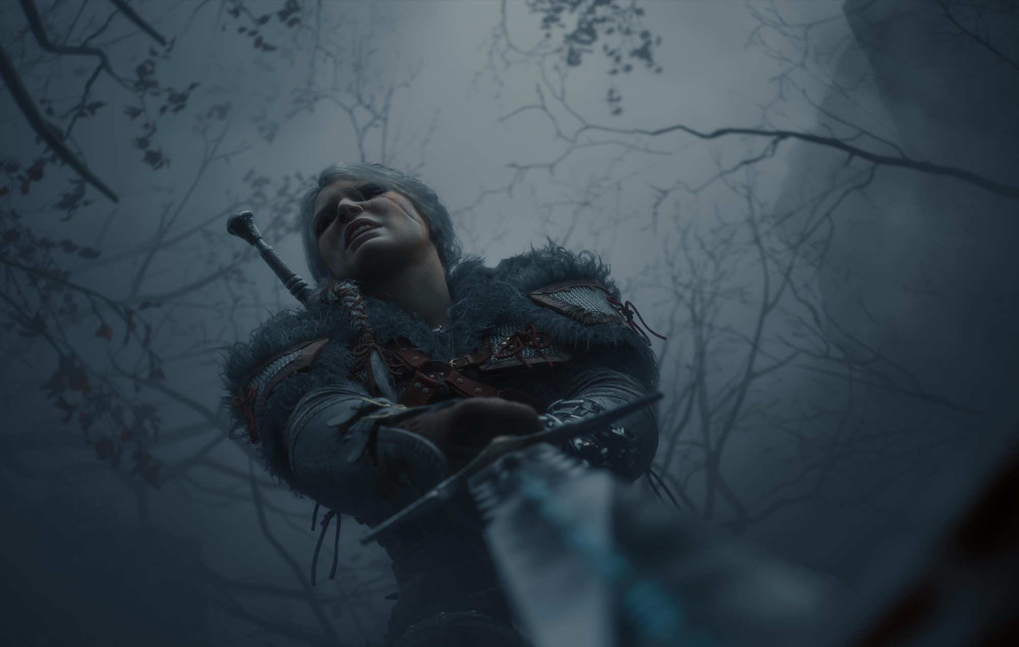 Ciri in 'The Witcher 4'.