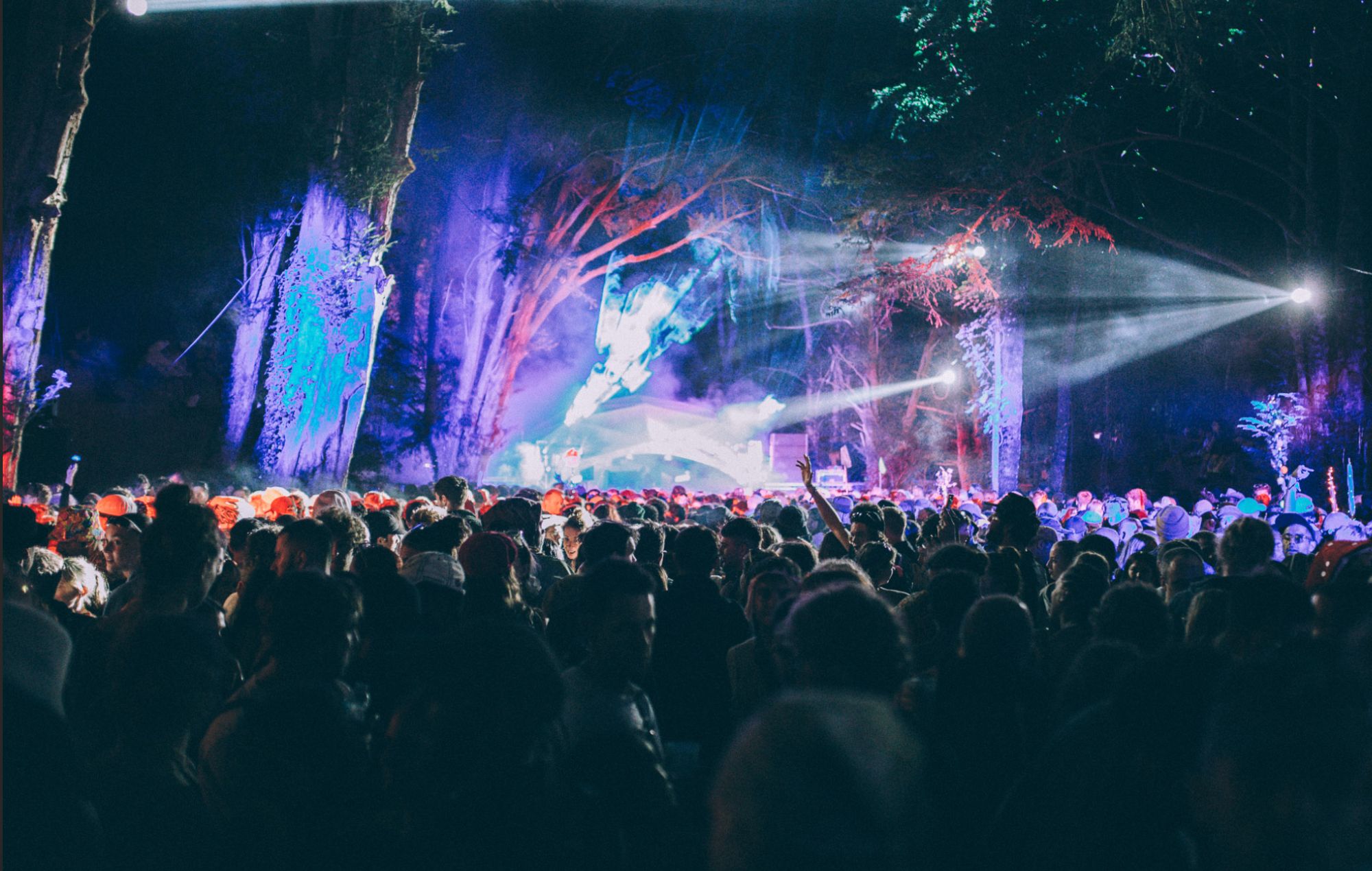 We Out Here festival