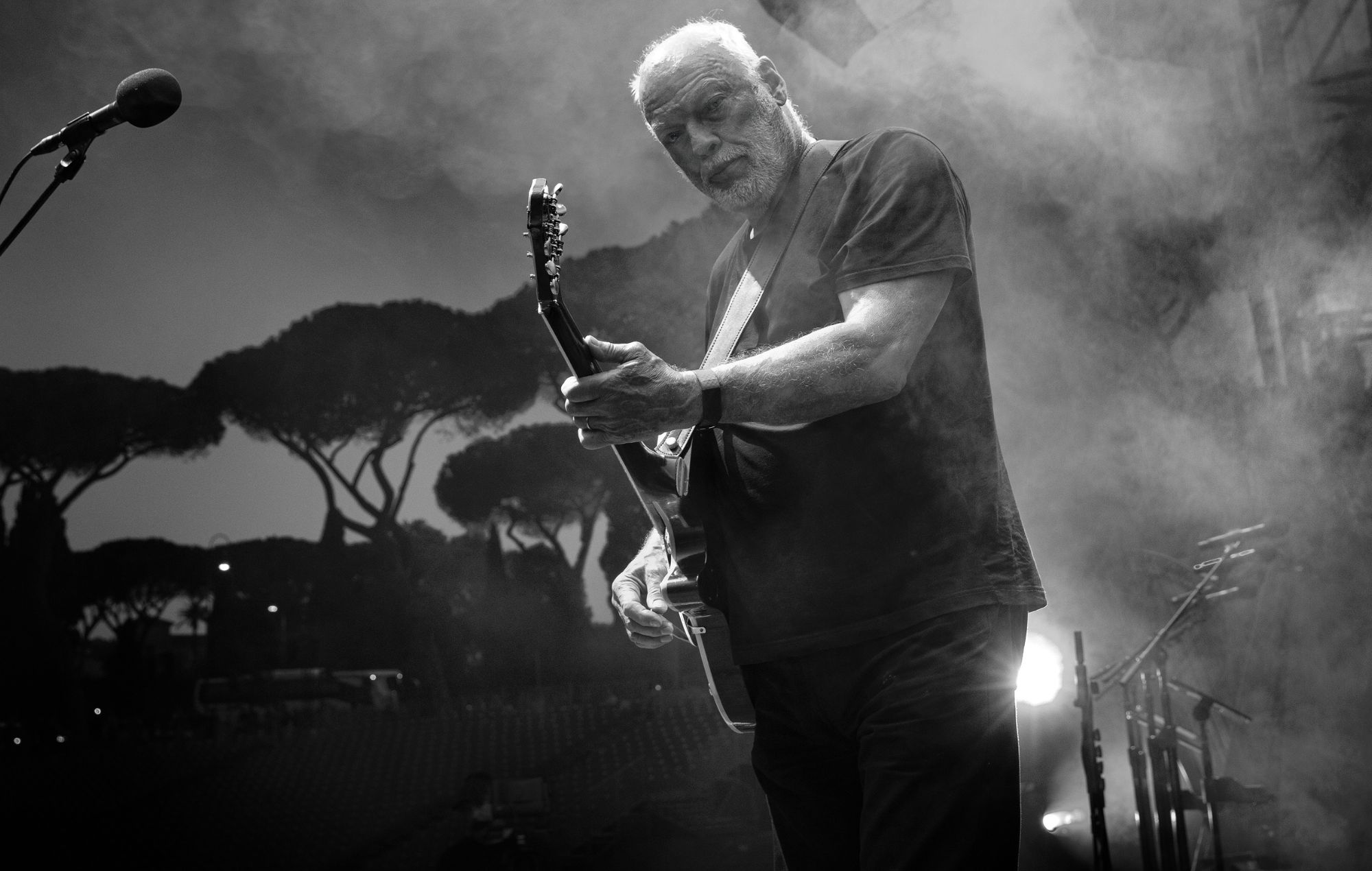 David Gilmour, 2024