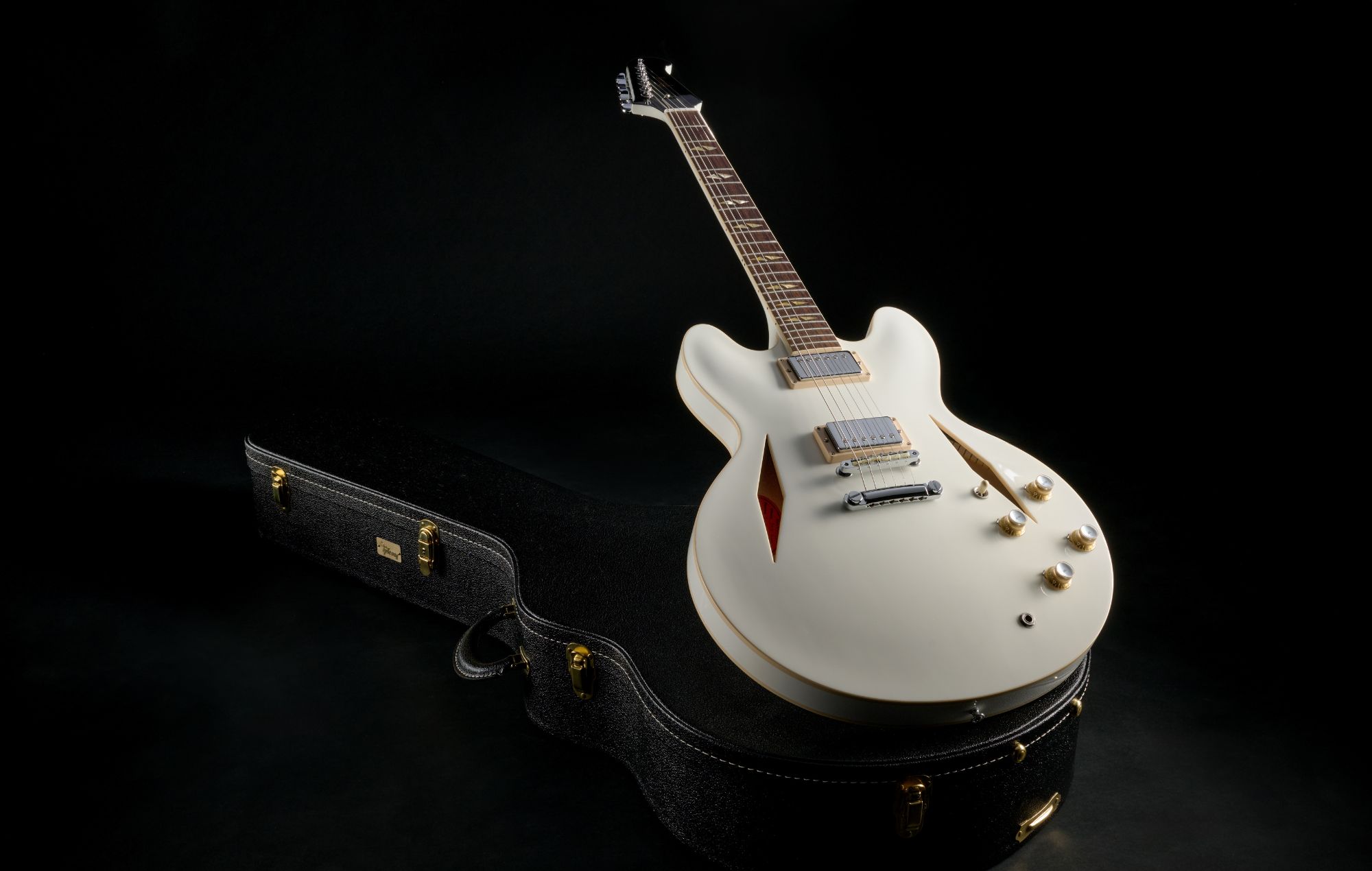 Dave Grohl DG-335 Limited Edition from Gibson Custom