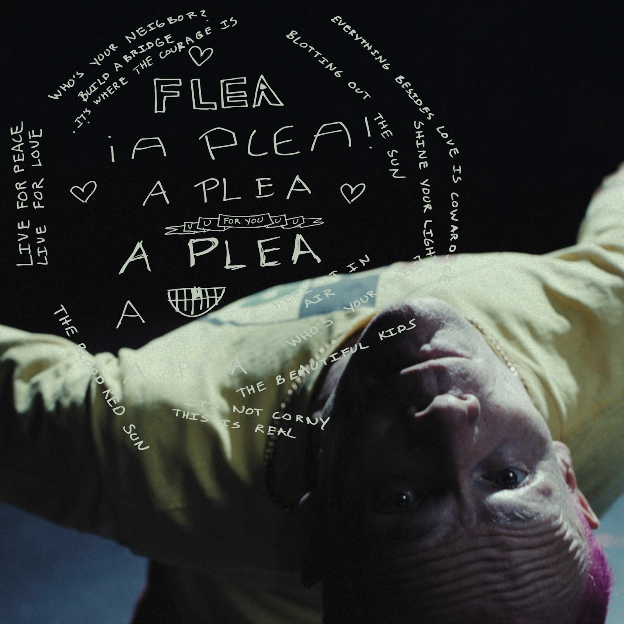 Flea 'A Plea' single cover