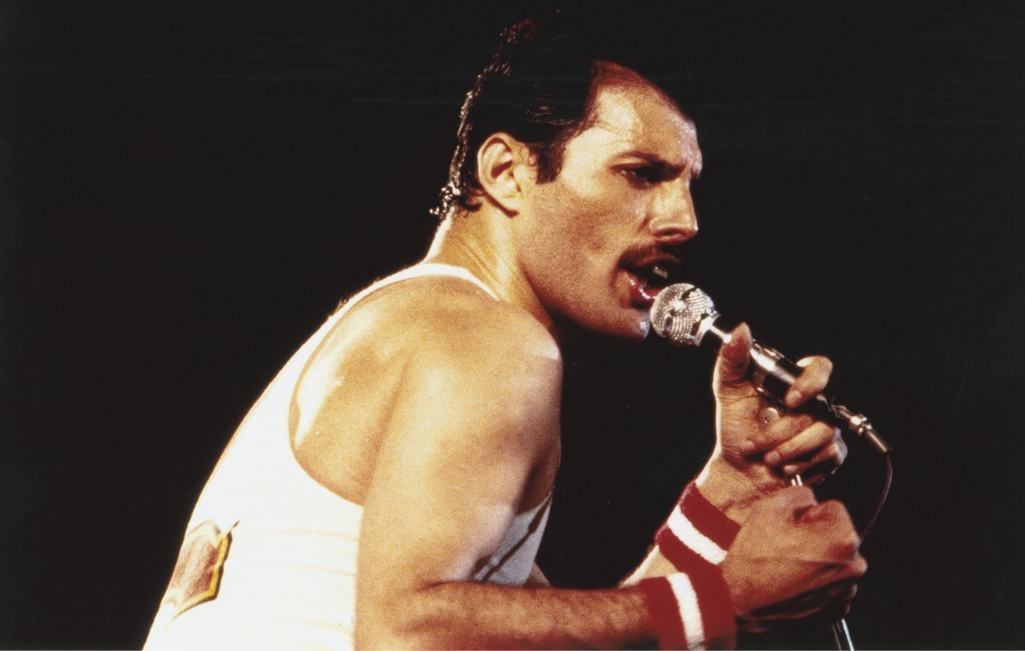 Freddie Mercury performs with Queen in 1982