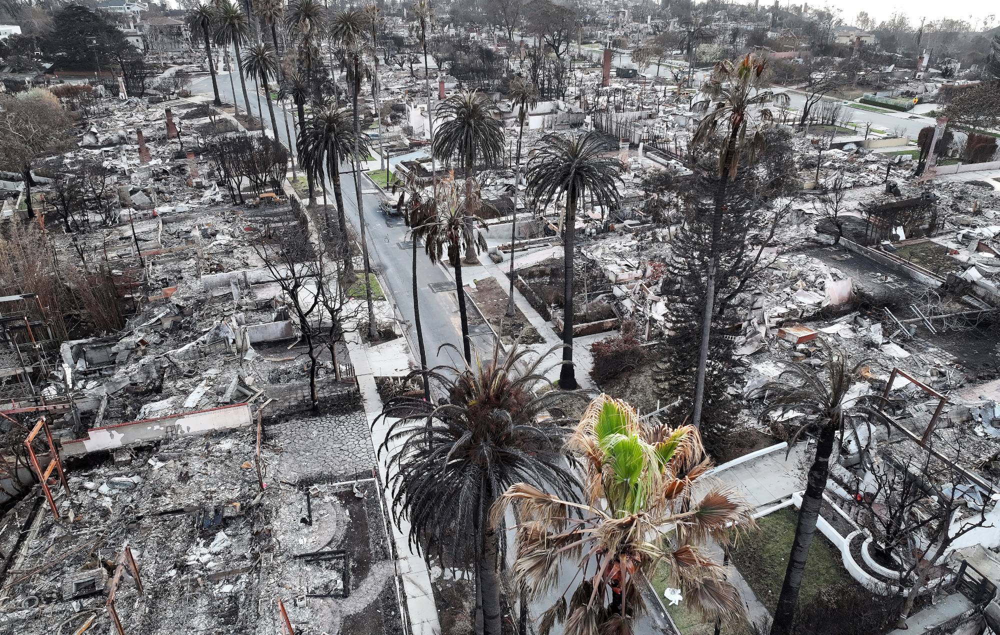 An aerial view of trees and homes which burned in the Palisades Fire on January 28, 2025 in Pacific Palisades, California. (Photo by Mario Tama/Getty Images)