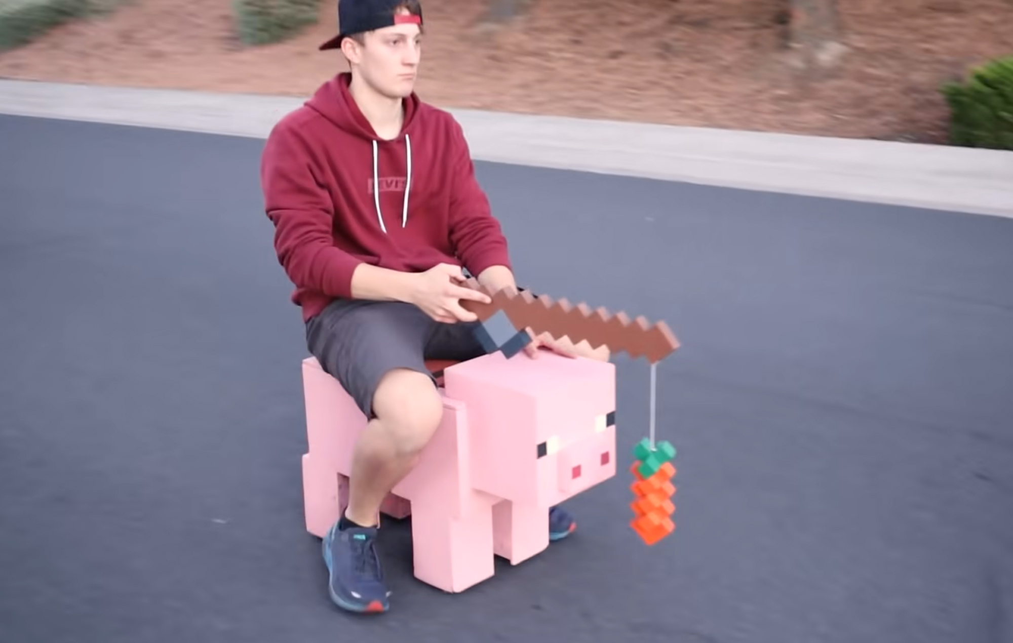 Minecraft Pig
