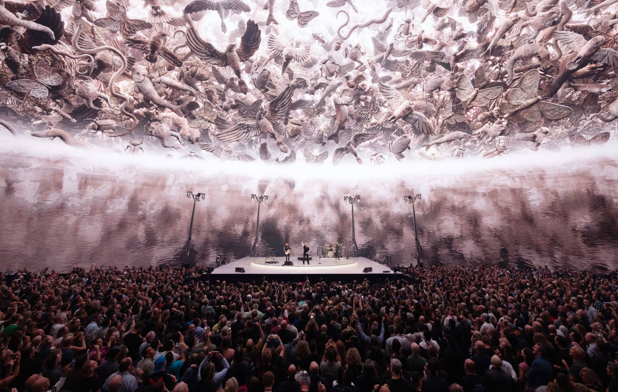 U2 at the Sphere in Las Vegas